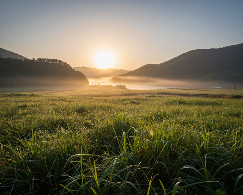 Symbolic Peace in Korea